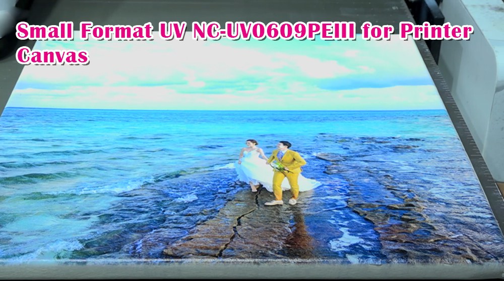 Small Format UV NC-UV0609PEIII for Printer Canvas
