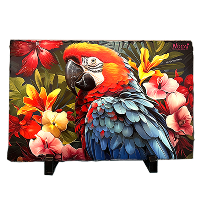 Home Building Industry